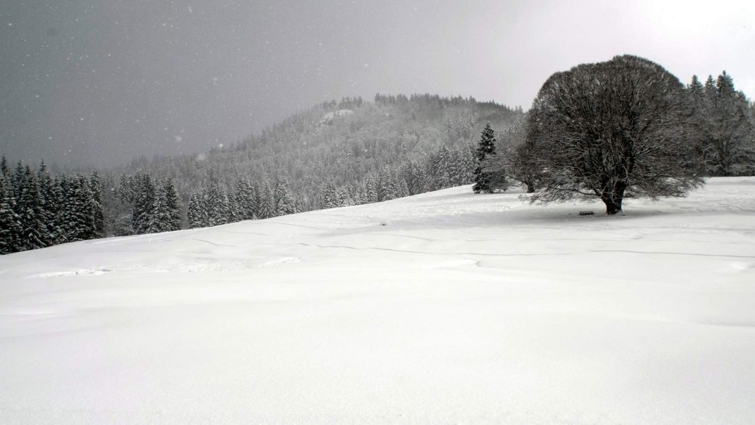 Winterurlaub im Schwarzwald